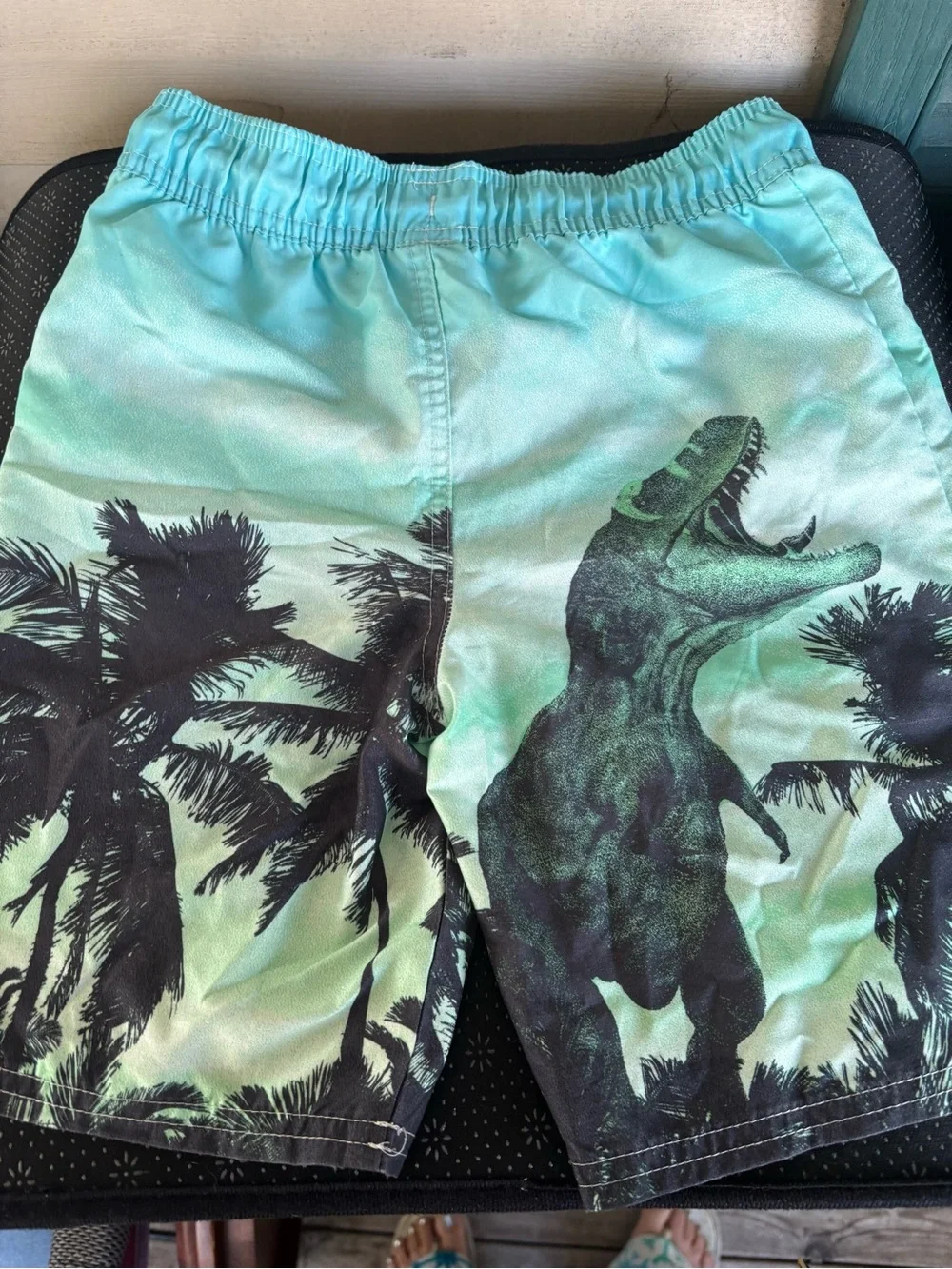 OshKosh B'gosh Teal Dino & Palm Swim Shorts